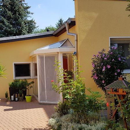 Ferienhaus Koehler Wittenberg Ngoại thất bức ảnh