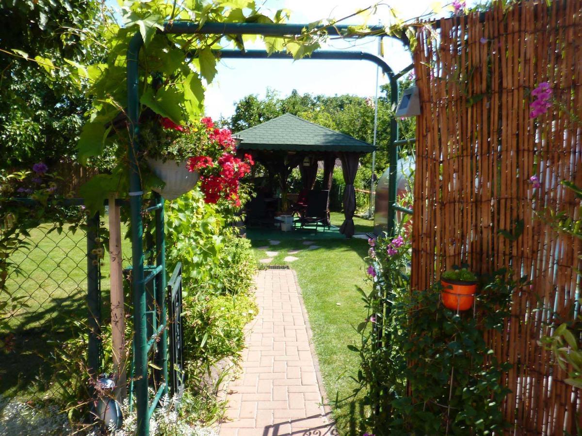 Ferienhaus Koehler Wittenberg Ngoại thất bức ảnh